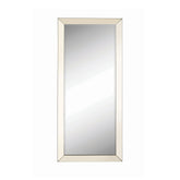 Coaster Barnett Rectangular Floor Mirror Silver Model 901813